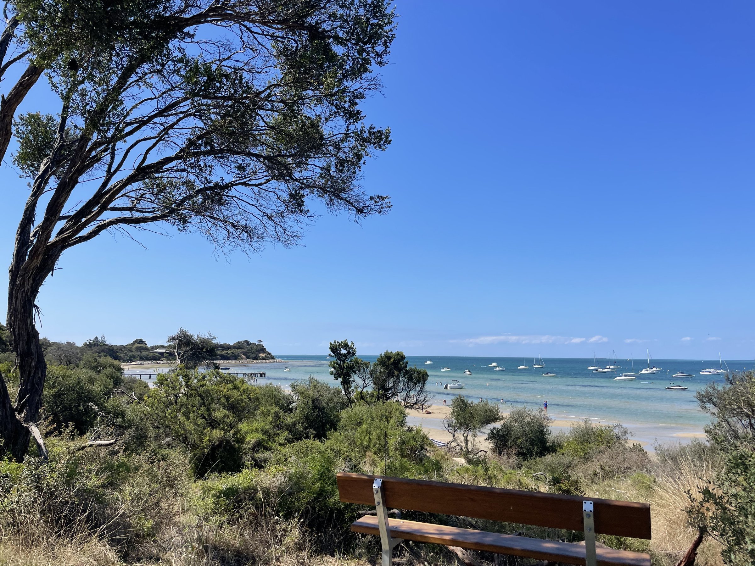 Christmas holiday’s camp at Blairgowrie, Melbourne VIC